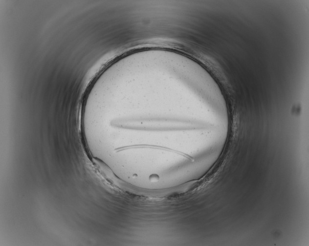 X0000114391180200911131336