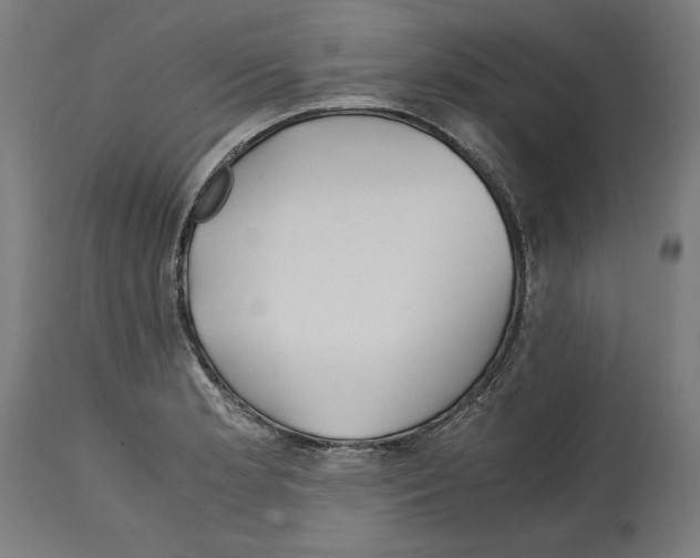 X0000114391181200911131336