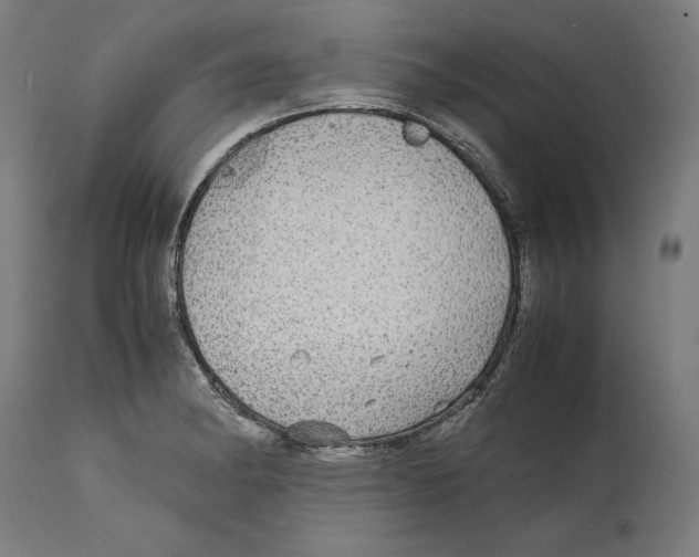 X0000114391182200911131336