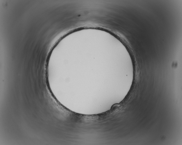 X0000114391183200911131336