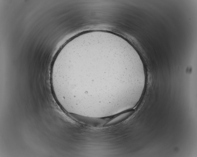 X0000114391184200911131336