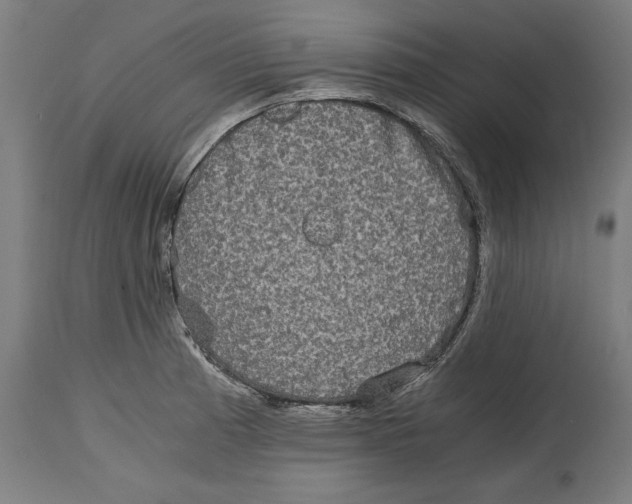 X0000114391185200911131336