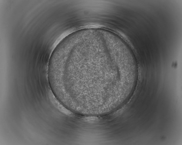 X0000114391186200911131336