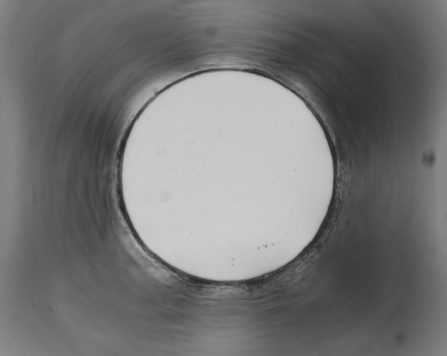 X0000114391187200911131336