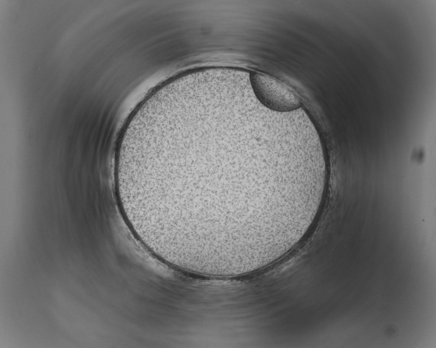 X0000114391188200911131336