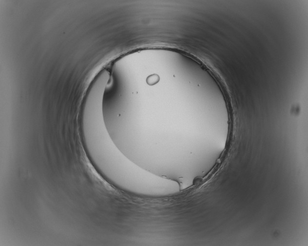 X0000114391189200911131336