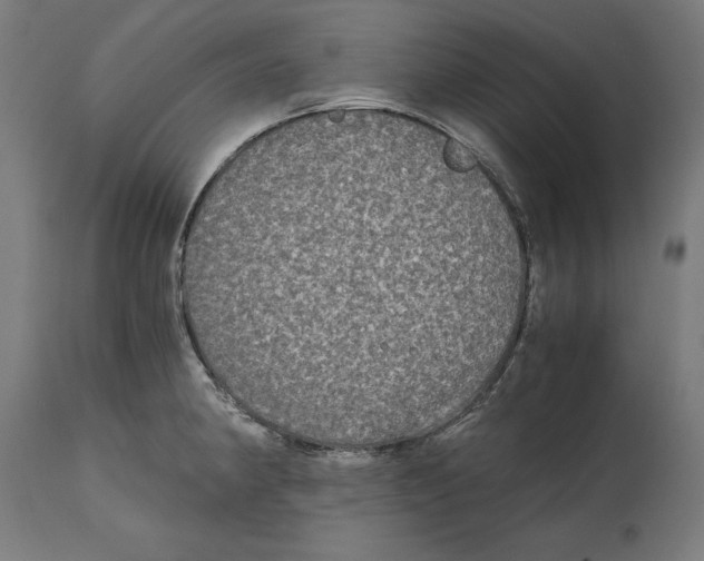 X0000114391190200911131336