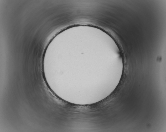 X0000114391191200911131336
