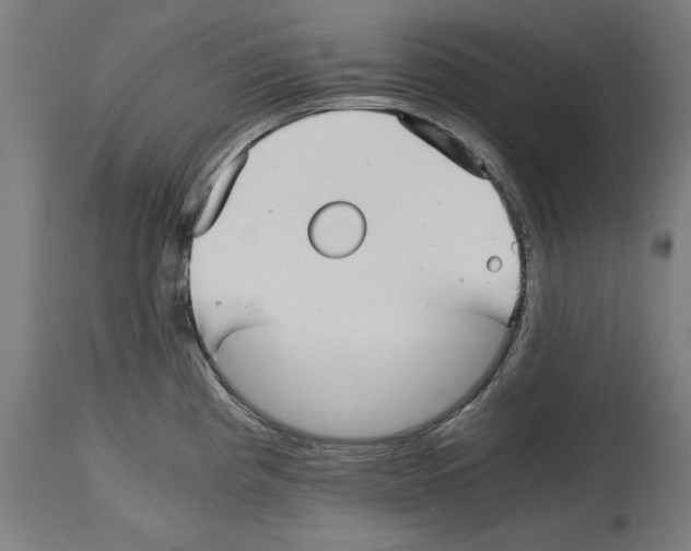 X0000114391193200911131336