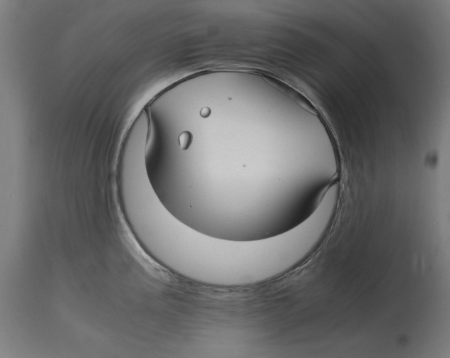 X0000114391195200911131336