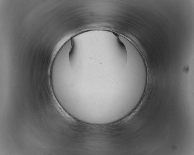 X0000114391196200911131336