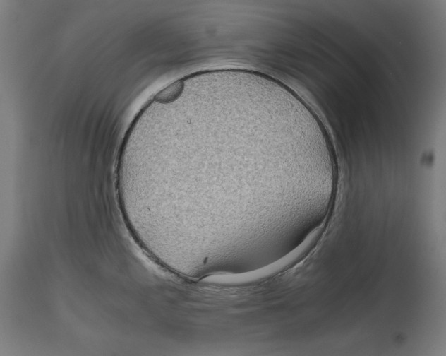 X0000114391197200911131336