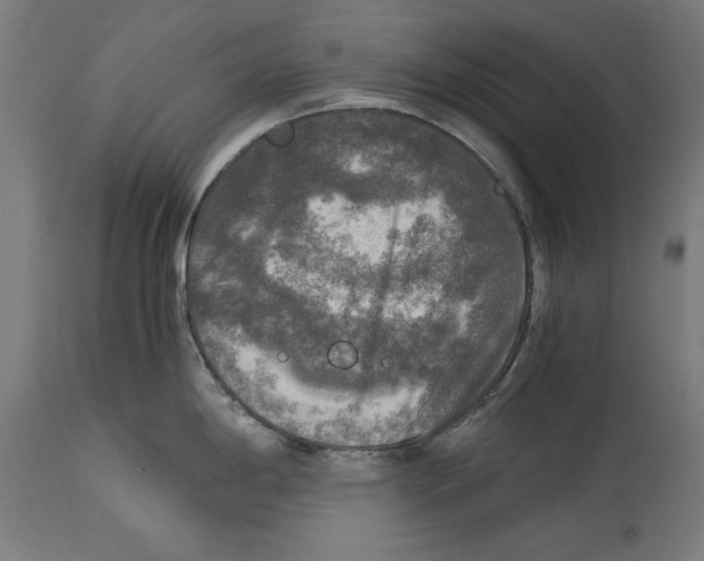 X0000114391198200911131336