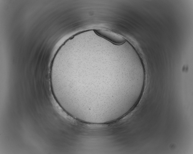 X0000114391200200911131336