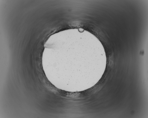 X0000114391201200911131335