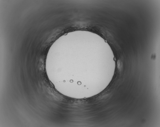 X0000114391203200911131335