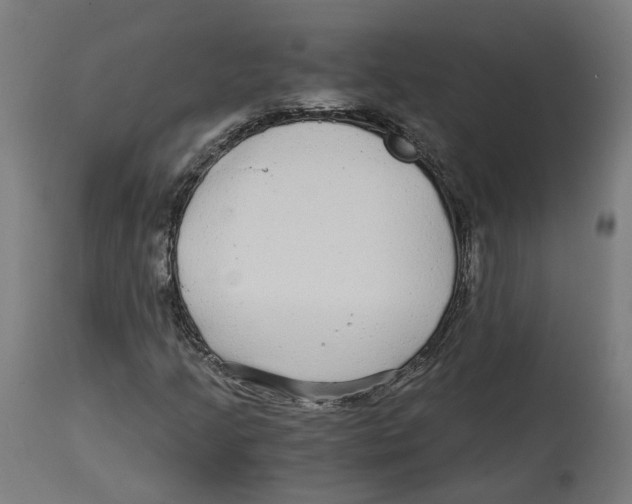 X0000114391205200911131335