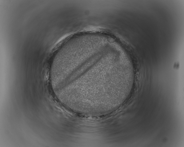 X0000114391206200911131335