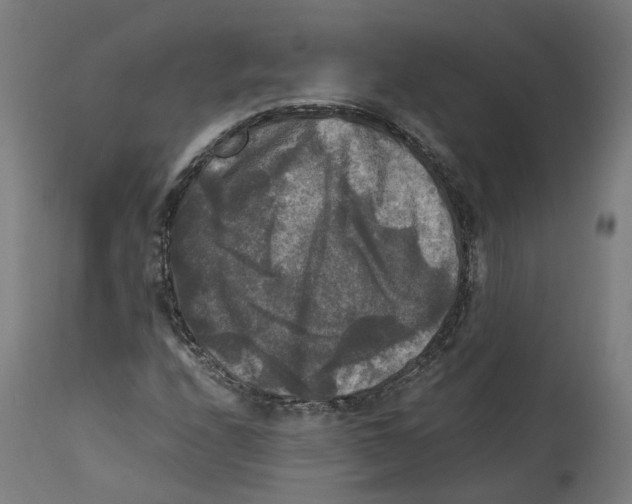 X0000114391208200911131335
