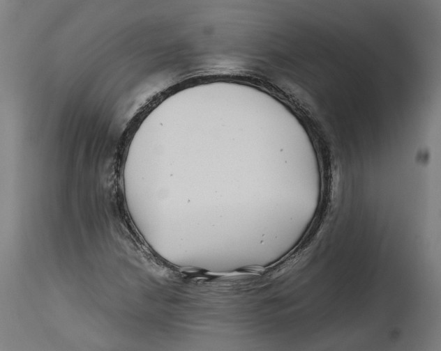 X0000114391210200911131335