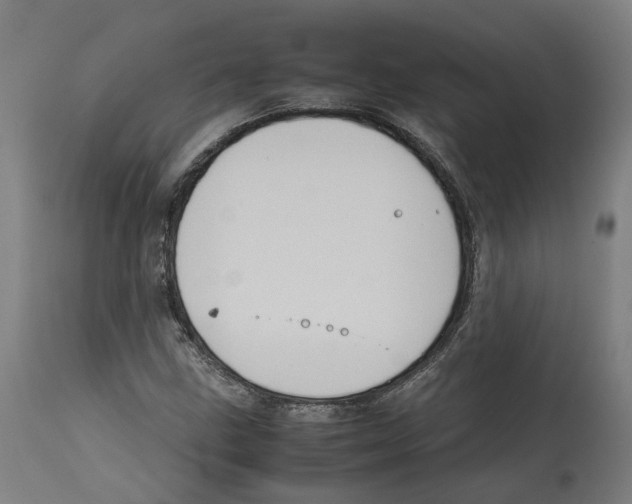 X0000114391211200911131335