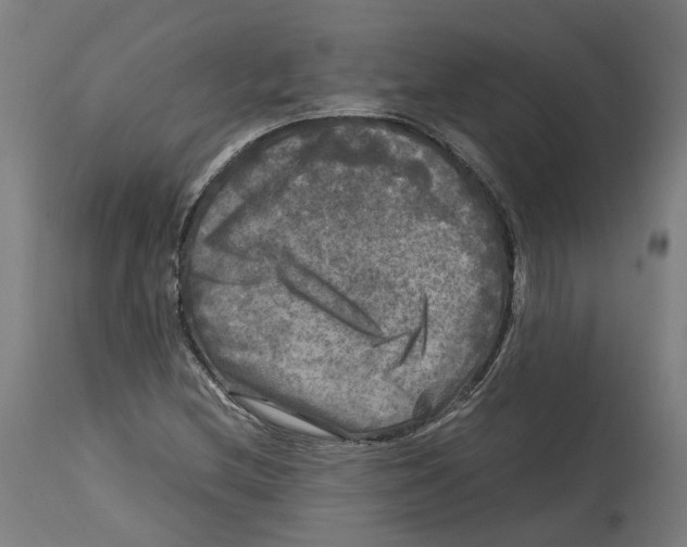 X0000114391212200911131335