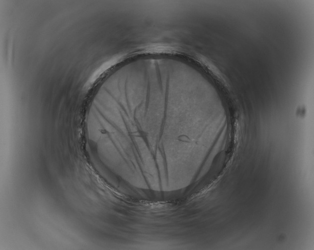 X0000114391213200911131335