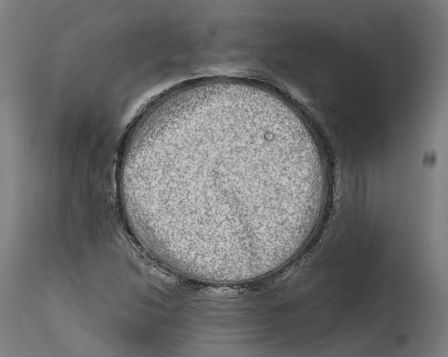 X0000114391214200911131335