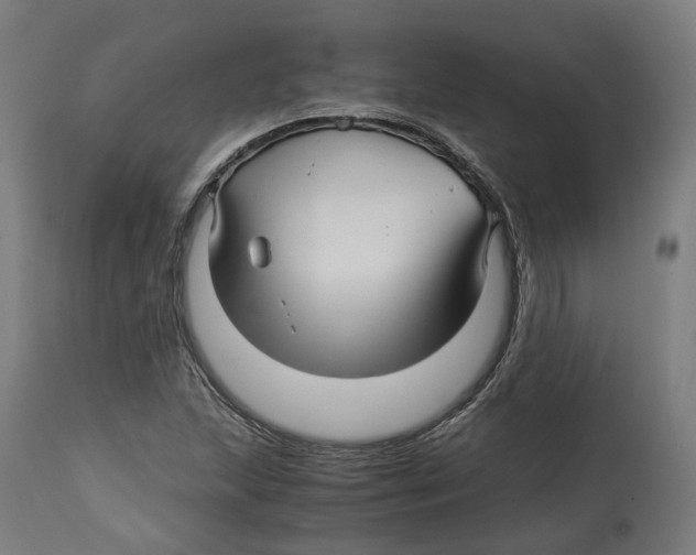 X0000114391215200911131335