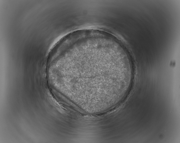 X0000114391216200911131335