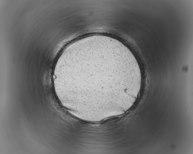 X0000114391218200911131335
