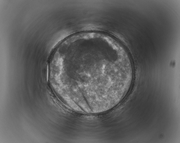 X0000114391219200911131335