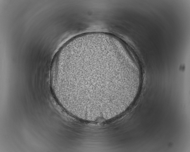 X0000114391220200911131335