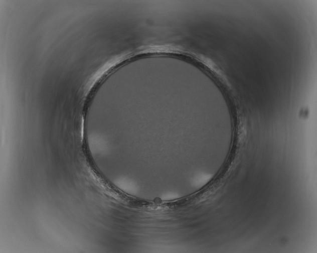 X0000114391221200911131335