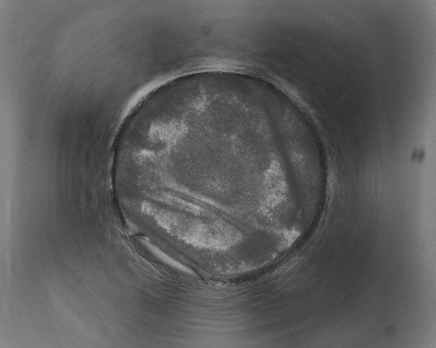 X0000114391222200911131335