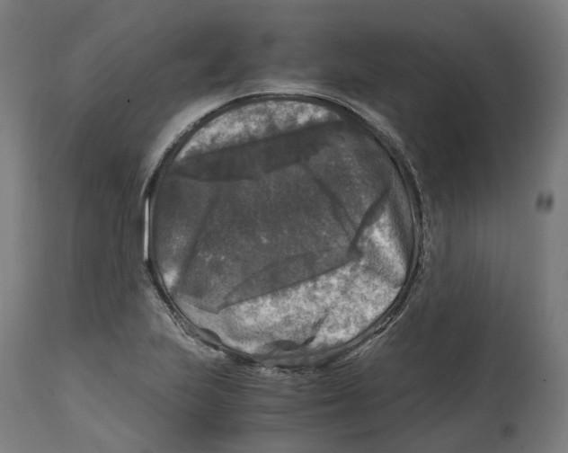 X0000114391223200911131335