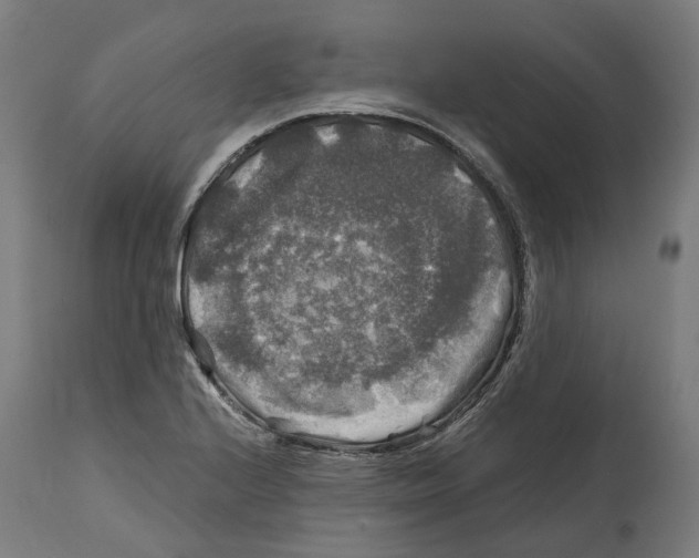X0000114391224200911131335
