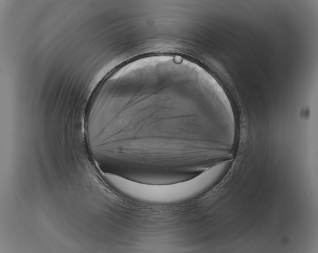 X0000114391226200911131335