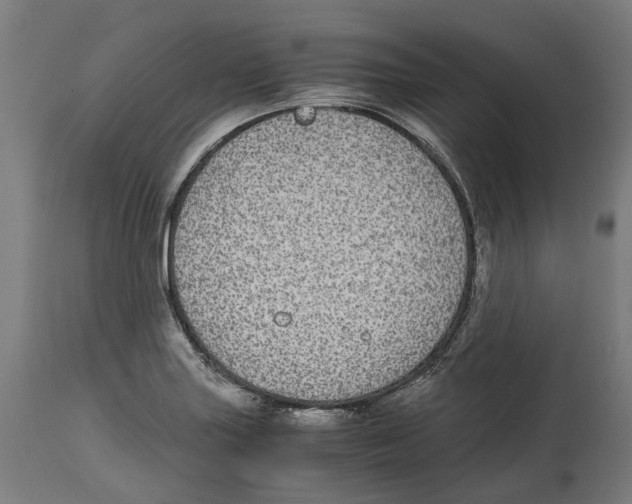 X0000114391227200911131335