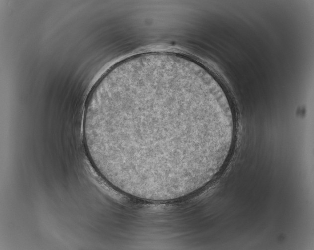X0000114391228200911131335