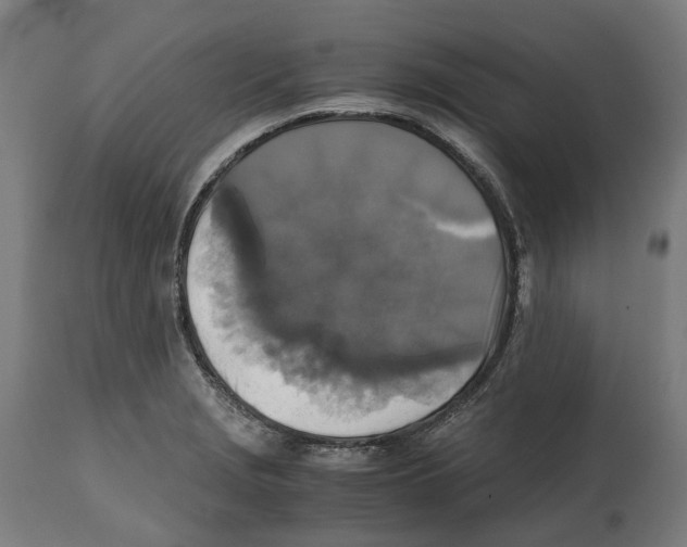 X0000114391229200911131335