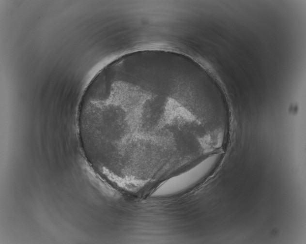 X0000114391230200911131335