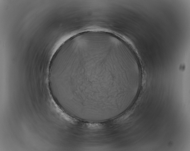 X0000114391231200911131335