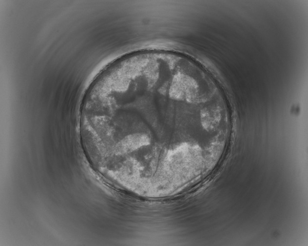 X0000114391232200911131335