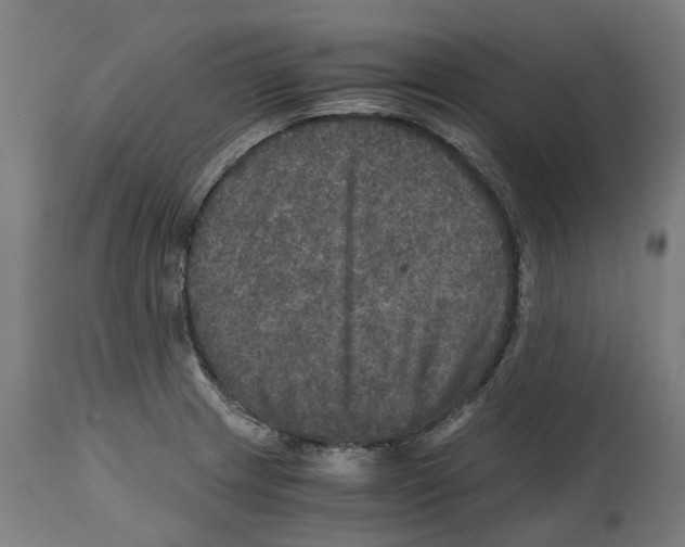 X0000114391233200911131335