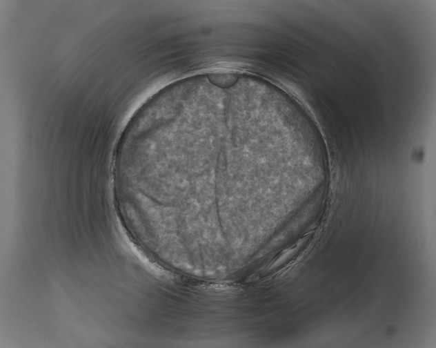 X0000114391235200911131335