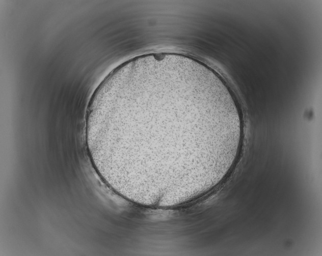 X0000114391236200911131335