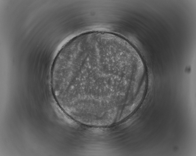 X0000114391240200911131335