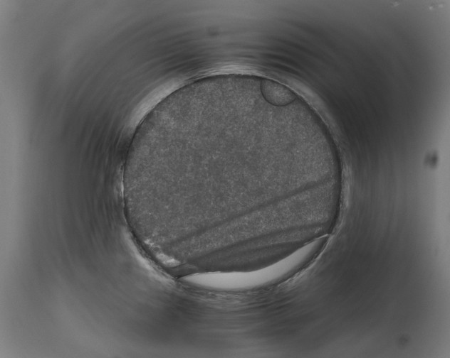 X0000114391241200911131335