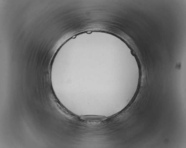 X0000114391242200911131335